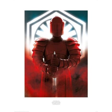 Star Wars: The Last Jedi (Poe Paint) 60x80cm Art Print