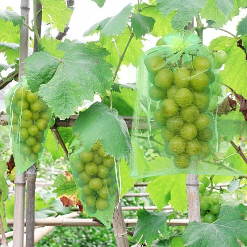 Bolsa de protección de uvas de 50 piezas, 30x20 cm, bolsas de organza, bolsa de protección de frutas, red de insectos, protección y control de plagas para jardín (verde)