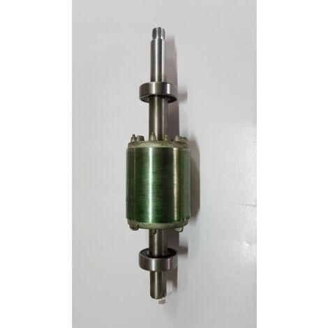 Set rotore completo di cuscinetto WP16000