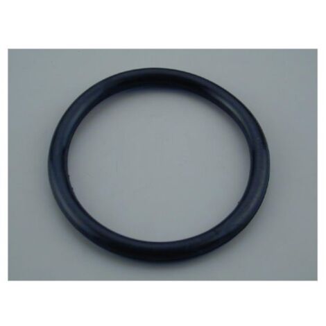 Guarnizione oring per calotta faro piscina Astralpool