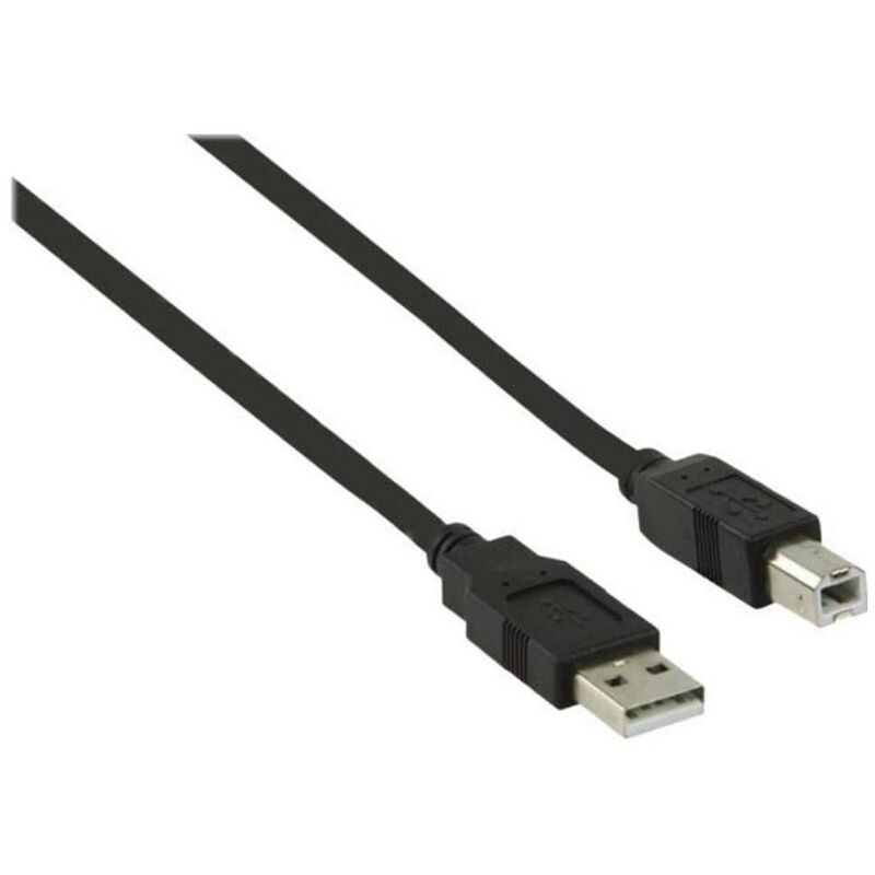 NEDIS Câble USB 2.0, Connecteur C > Connecteur C, 2 M, Noir