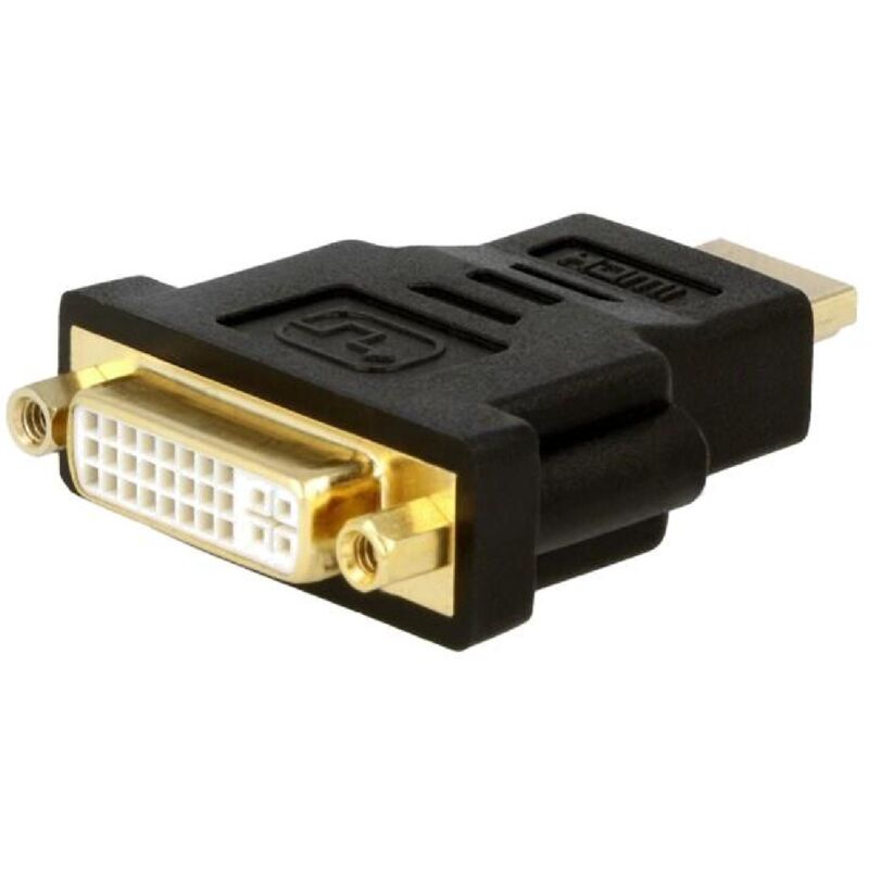 Tasnim Adaptateur Vidéo DVI DVI-D 24+5 Broches Mâle vers VGA Femelle - Lot de 2