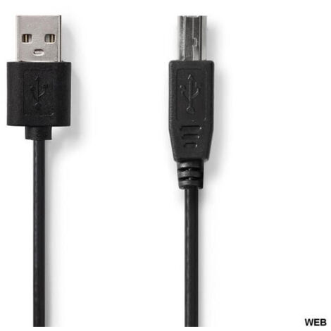Cable USB 2.0 A Male vers B Male de 2m (1/3)