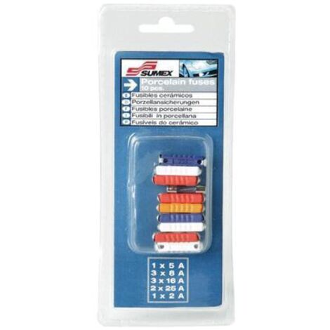 10 Fusibles en ceramique - 1x5A 3x8A 3x16A 3x25A 1x2A