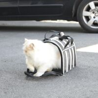 Sac de Transport Léger Fidelami - Confort et Sécurité pour votre quadrupède - Taille L