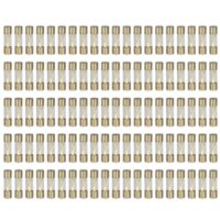 100 Fusibles AGU verre dore 80A
