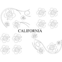 Set Adhesifs -ELEMENT CALIFORNIA- Blanc - Car Deco
