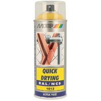 Aérosol De Peinture PINTYPLUS EVOLUTION 520cc RAL 9006 White Aluminium