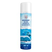 CARLinéa dégivrant antiregel 300ml