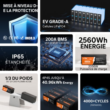LiTime Batterie Lithium LiFePO4 12V 200Ah PLUS Batterie solaire et éolienne Stockage avec Panneau solaire, Parfaite pour Camping-Car, Bateau, Moteur de Traîne- 1 PCS