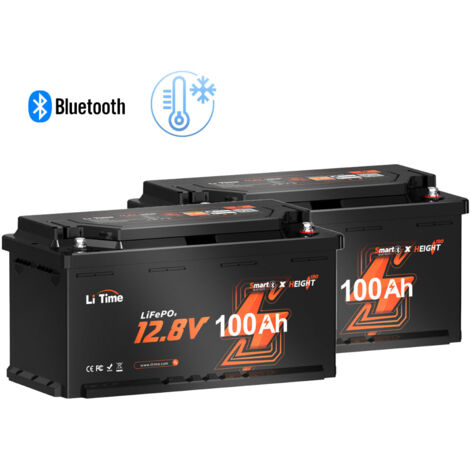 LiTime Batterie lithium LiFePO4 12V 100Ah LiFePO4 100A BMS 1280Wh batterie  solaire et éolienne,stockage avec panneau solaire, Parfaite pour Camping-Car,  Bateau Batterie -Paquet de 1 Pièce