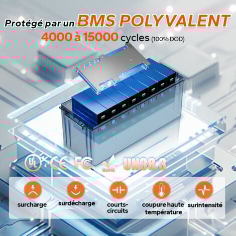 LiTime Batterie Lithium LiFePO4 12V 200Ah Batterie solaire et éolienne 2560Wh Stockage avec Panneau solaire Parfaite pour Camping-Car, Bateau, Moteur de Traîne- 1Pcs