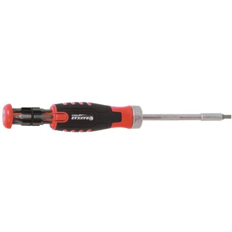 DRAKKAR-TOOLS - Tournevis à cliquet 36 dents avec 12 embouts dans le manche - blister - 13210 (1/3)