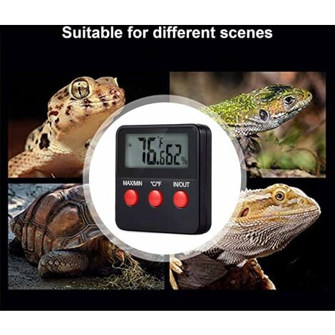 Reptiles Thermomètre Numérique Hygromètre LCD Jauge de Température et  Humidité pour Terrarium Animaux Domestiques Incubateur, Réservoir MNS