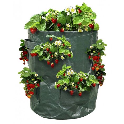 TERRE JARDIN - Bolsa para fresas - Bolsa de plantación para fresas - Pack de 2