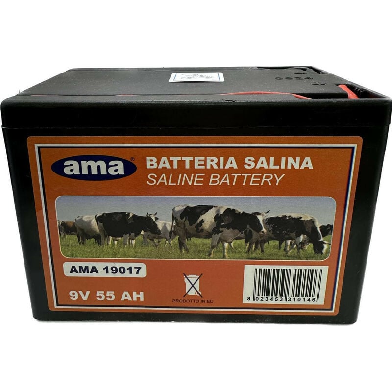 BATTERIE POUR CLOTURE ELECTRIQUE 12V 55AH