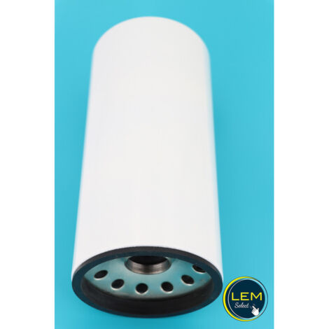 Cartouche de rechange pour filtre 150 L (L 275mm) (1/2)