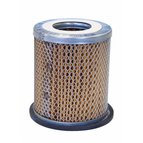 Filtre à carburant 1850450M2, 894974M91 adaptable MASSEY FERGUSON