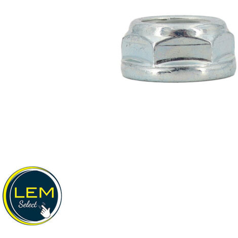 Écrou hexagonal M 10X1,25 gauche pour tête de débroussailleuse à l'unité