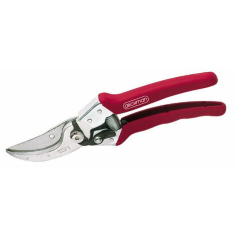 Sécateur professionnel d'élagage L 230 mm coupe Ø 24 mm (1/3)