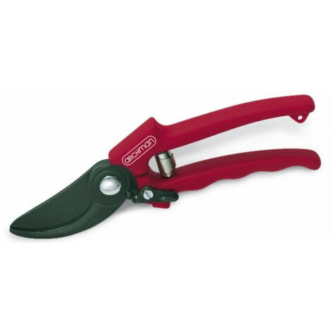 Sécateur professionnel à lame fixe L 210 mm coupe Ø 24 mm (1/2)