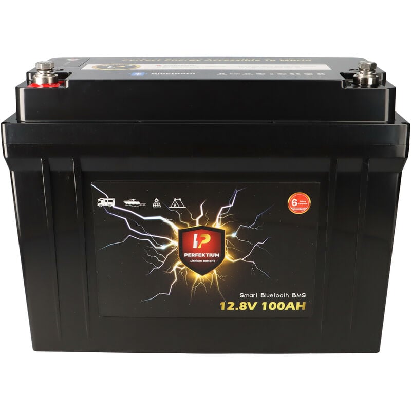 LIONTRON LiFePO4 12,8V 200Ah Wohnmobil-Untersitz-Batterie LX Smart BMS mit  Bluetooth Ersatz für AGM- oder Gel-Batterien