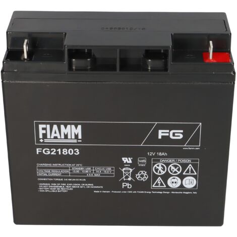 Fiamm Blei-Akku FG21803 Pb 12V / 18Ah M5 (1/5)