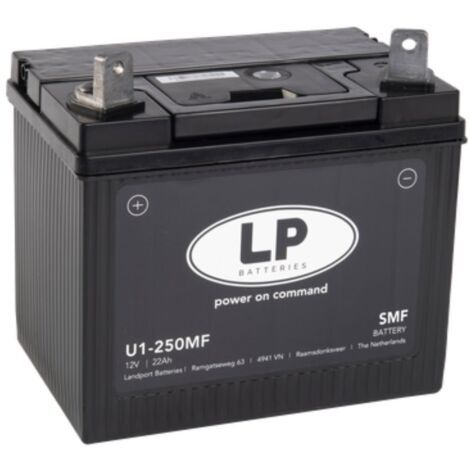 Batterie 12V 21Ah für Rasenmäher Rasentraktor LB U1-250MF