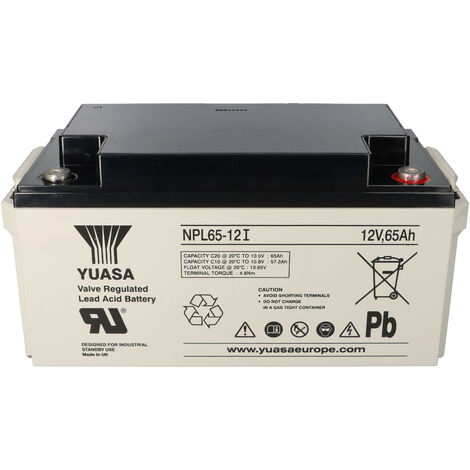 Yuasa Blei-Akku NPL65-12I Pb 12V / 65Ah 10-12 Jahresbatterie, M6 Innen