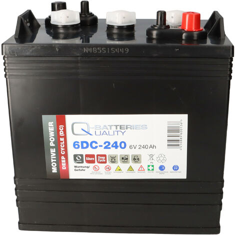 Q-Batteries 6DC-240 6V 240Ah Deep Cycle Traktionsbatterie (1/5)