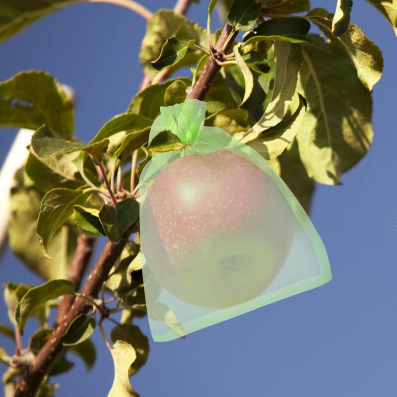 100 Sachets Protection Raisins En Organza - 20x30 Cm - Avec Cordon De Serrage - Anti-insectes, Anti-oiseaux