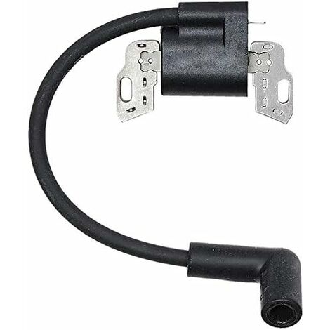 Bobine d'allumage Compatible avec 593872 799582 798534 - Ignition Coil Compatible with 593872 799582 798534 Briggs&Stratton H (1/4)
