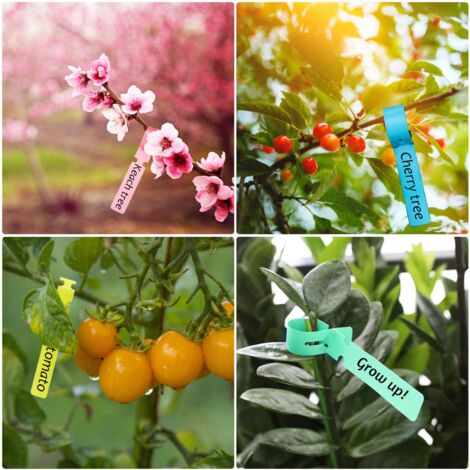 200 étiquettes De Jardinage Miniatures – 5x1 Cm, Imperméables, Réutilisables, Pour Identifier Semis Et Plantes