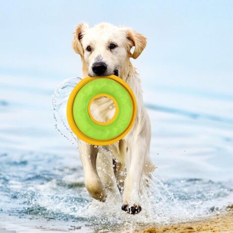 Frisbee En Plastique 23 Cm - Jouet Pour Enfant Et Adulte - Plage, Parc - Couleur Au Choix