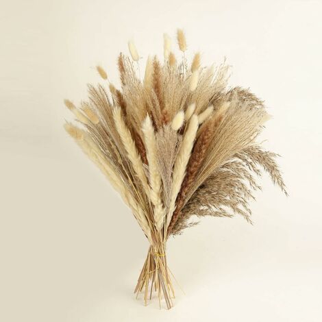 Lot de 100 décors d'herbe de pampa, bouquet d'herbe séchée de 43,2 cm pour vase, arrangements d'herbe naturelle pour décoration de maison Boho, mariage, décoration de bureau. (1/5)