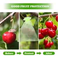Sacs Anti-oiseaux Insectes Jardin Sacs Réutilisables Raisins Sacs Protection Raisins 50 Pièces - 15x10cm Vert, Organza, Cordon Serrage Anti-oiseaux Sachet Protection Raisin Lot 100 Sacs Gaze