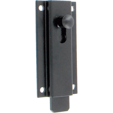 Targette Droite, Longueur 120, Noir, Aluminium, pour Portail, Portillon, Volet (1/5)