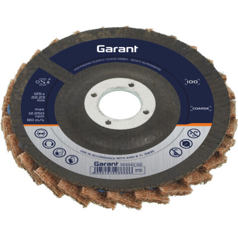 Dischi Abrasivi HERZO 125mm - Set 5 Pezzi Per Smerigliatrice, Pulizia Vernice E Ruggine - Foto 6