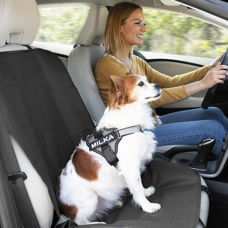 Funda perro pequeño para coche impermeable, asiento individual