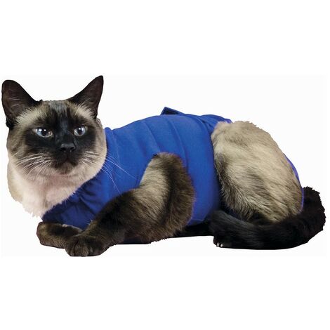 Arnes Para Gato Con Brillos - Azul Claro —