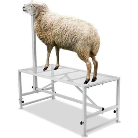 VEVOR Supporto per Capre Pecore, Supporto 1195 x 584 mm, Supporto per Bestiame Mungitura e Tosatura del Bestiame in Metallo Altezza Regolabile, con Copricapo Passante Naso,Peso Carico 226,8 kg Nero