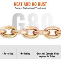 Ganci A Catena V Per Trasporto VEVOR - Portata 4200kg, Zincato, Acciaio Manganese, Grado G80, 3 Piedi - Foto 6