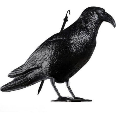 Statue épouvantail corbeau 35cm (1/5)