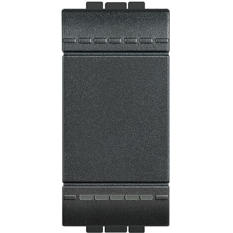 L4004N Inverseur 1P Illuminable 16 Ax 250 Vac Anthracite Livinglight (1/4)