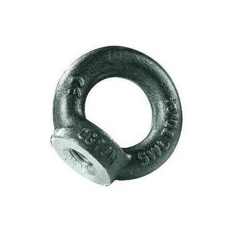 Œillets galvanisés Carcano Ce DIN-582 femelle 8 mm (1/2)