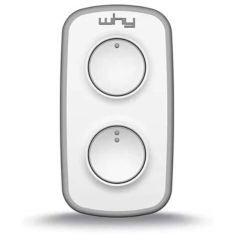 Télécommande multifréquence Mini Why-Evo 2+2 Gris