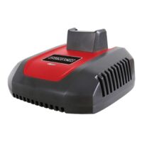 Chargeur de batterie C40 25F Dunsch