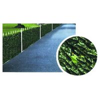Haie de Lauro h 150 m 3 Ilcampo 00030