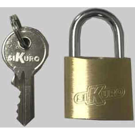 Lucchetti Per Esterni Con Chiave, Lucchetti Con La Stessa Chiave Lucchetti In Acciaio Laminato Con Chiave E Arco Lungo Confezione Da 12 Per Ch~p115499767