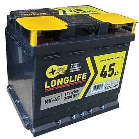 Batteria auto modulo valore + ah 45 dx spunto 360a mm 207x175 h.mm 190